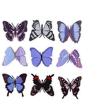 Load image into Gallery viewer, Pouya Ahmadi on Rumi