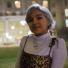 Load image into Gallery viewer, Pouya Ahmadi on Rumi