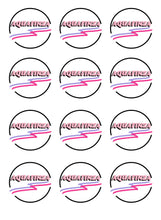 Load image into Gallery viewer, Pouya Ahmadi on Rumi