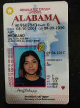 Load image into Gallery viewer, Pouya Ahmadi on Rumi