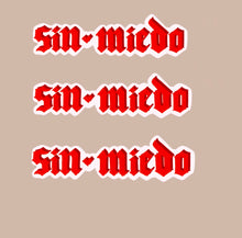 Load image into Gallery viewer, Pouya Ahmadi on Rumi