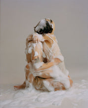 Load image into Gallery viewer, Pouya Ahmadi on Rumi